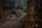 Enduro trail